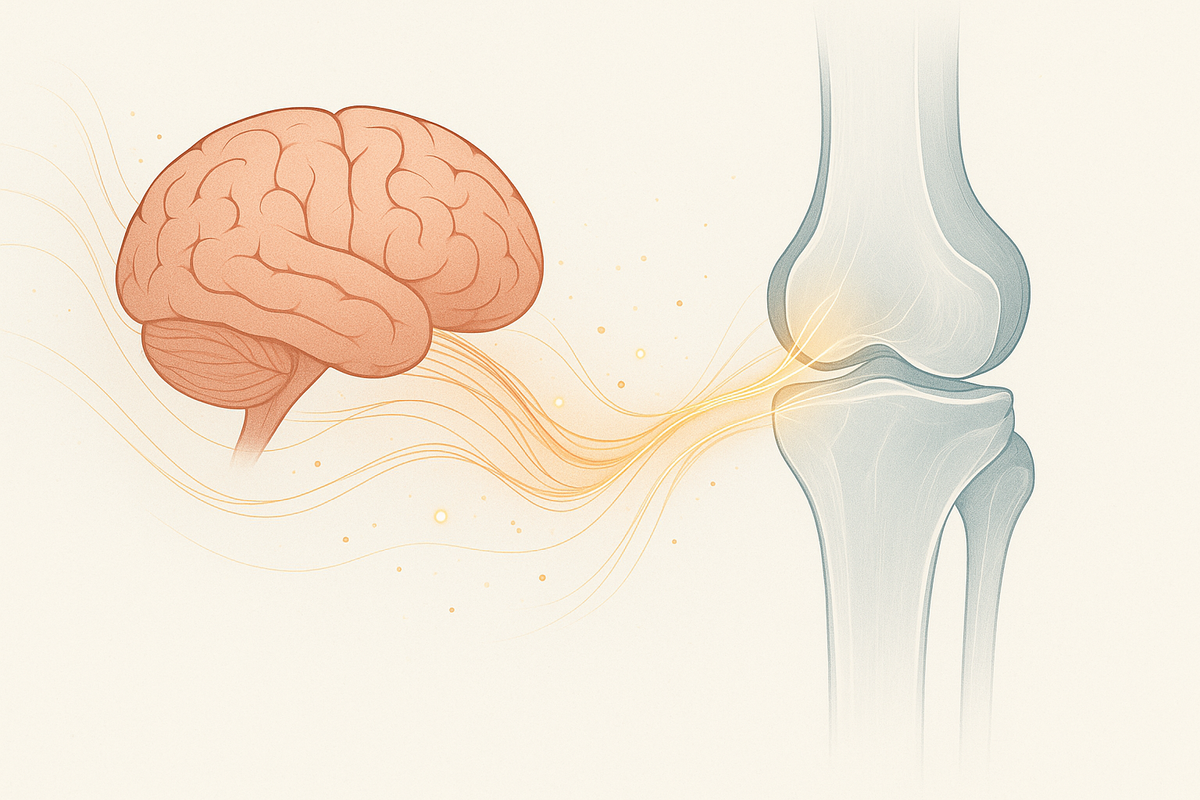 O Impacto do Estresse nas Articulações: Como a Saúde Mental Pode Afetar o Bem-Estar Articular