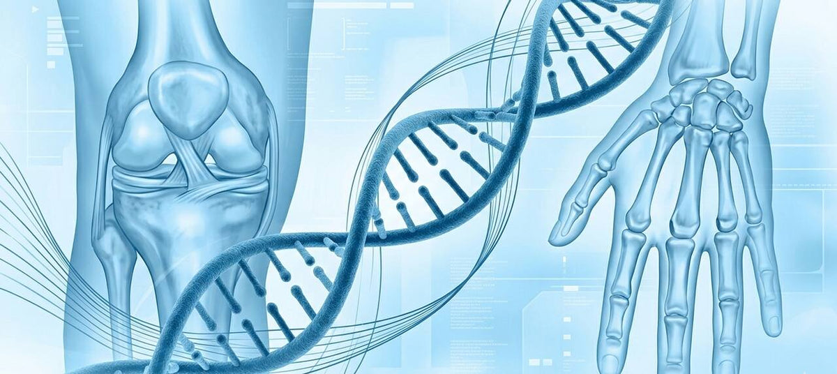 Artrite e artrose são doenças genéticas?